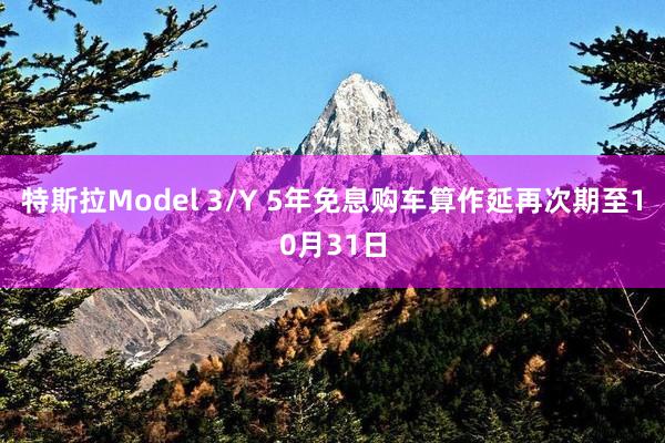 特斯拉Model 3/Y 5年免息购车算作延再次期至10月31日