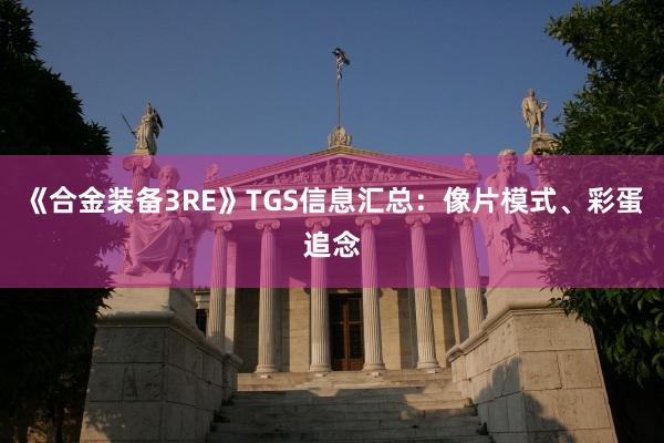 《合金装备3RE》TGS信息汇总：像片模式、彩蛋追念