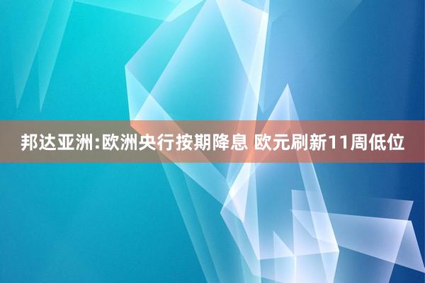 邦达亚洲:欧洲央行按期降息 欧元刷新11周低位