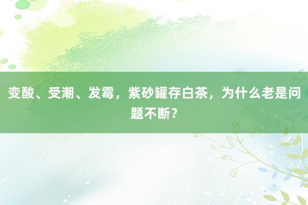 变酸、受潮、发霉，紫砂罐存白茶，为什么老是问题不断？